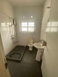 Serangoon Garden Estate (D19), Terrace #580160511